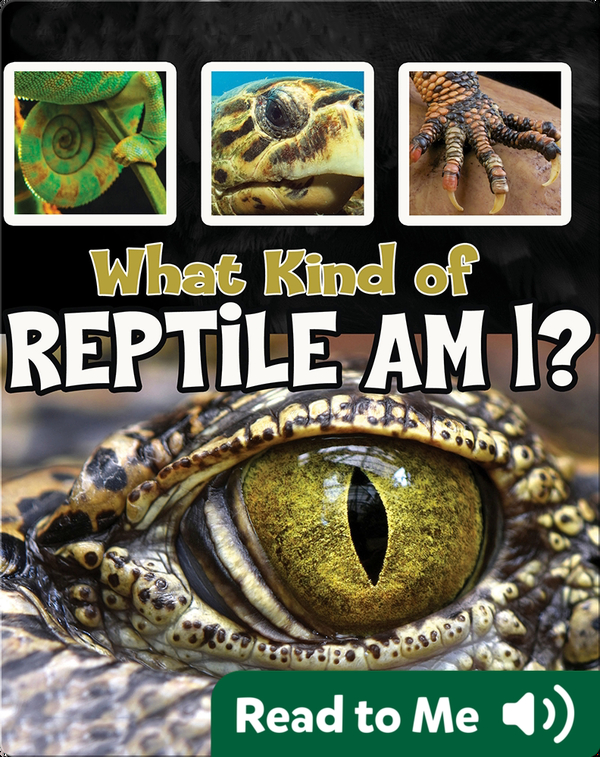 What Kind of Reptile Am I?