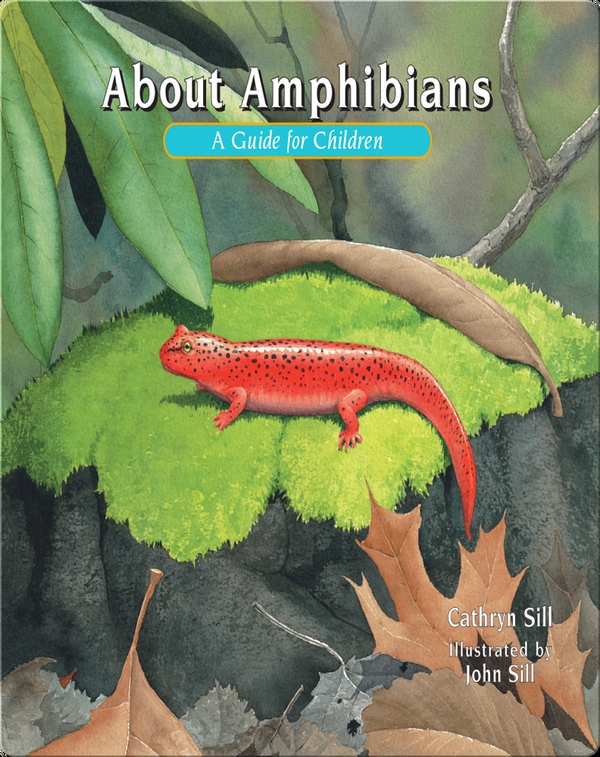 About Amphibians Children's Book by Cathryn Sill, Cathryn Still With