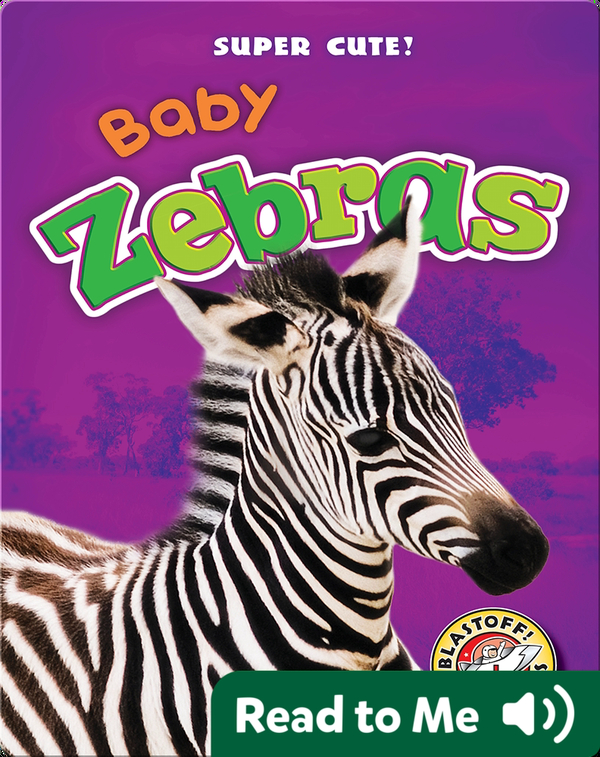 Super Cute Baby Zebras Children S Book By Megan Borget Spaniol Discover Children S Books Audiobooks Videos More On Epic