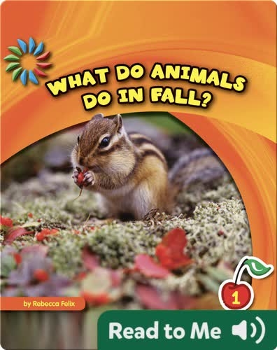 What Do Animals Do in Fall?