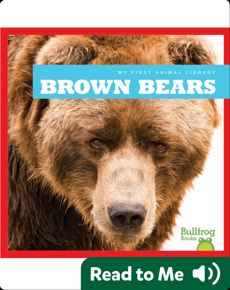 My First Animal Library Brown Bears Children's Book by Cari Meister