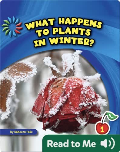 What Happens to Plants in Winter?