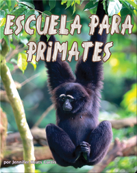 Escuela para primates