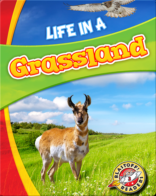 Life in a Grassland (Biomes Alive!)