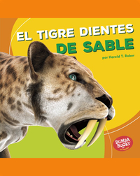 El tigre dientes de sable (Saber-Toothed Cat)