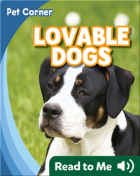 Lovable Dogs
