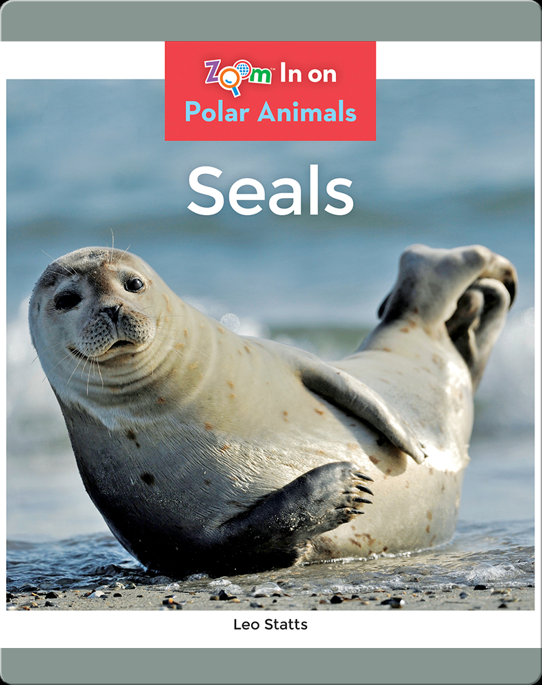 Seals Children's Book by Leo Statts Discover Children's Books