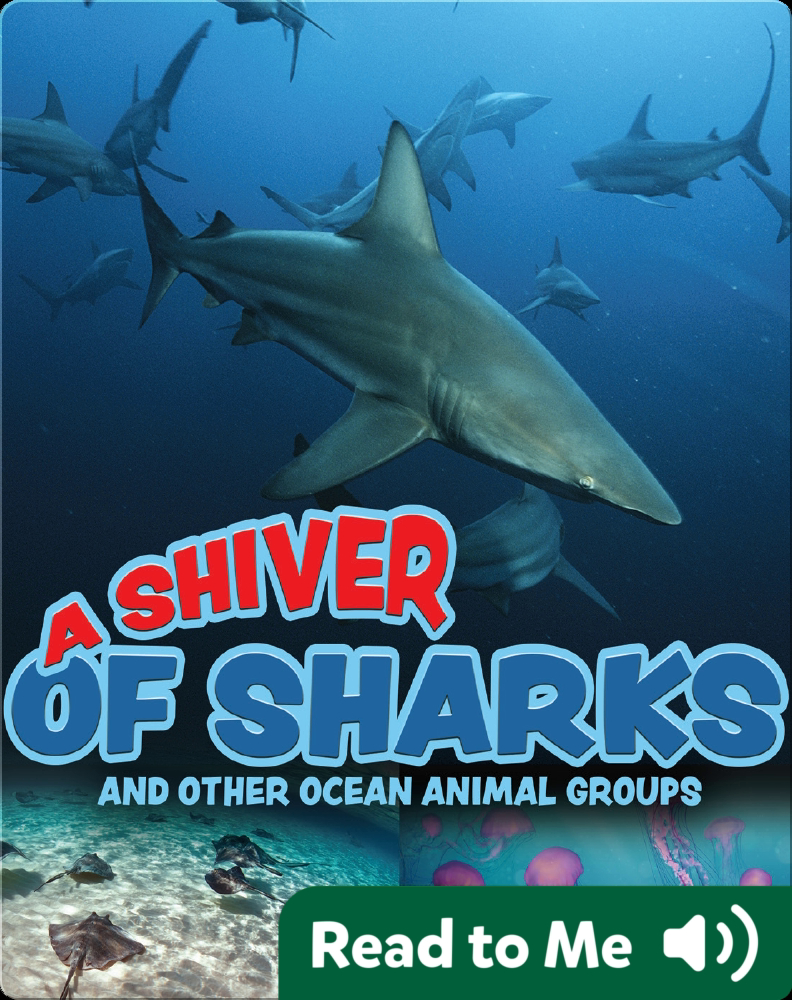 A Shiver of Sharks Children's Book by Tracy Nelson Maurer | Discover ...