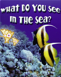 What Do You See In The Sea?