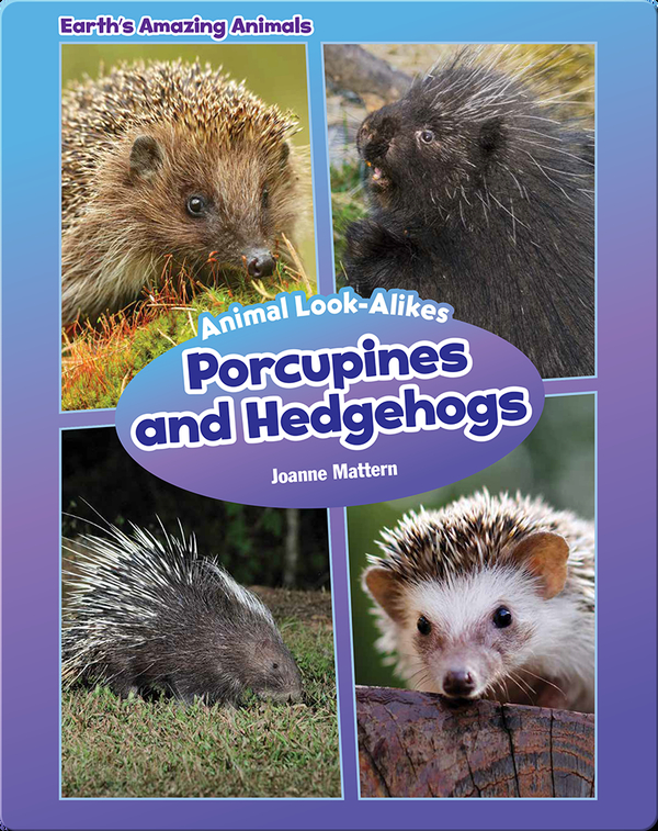 Porcupines and Hedgehogs Children's Book by Joanne Mattern Discover