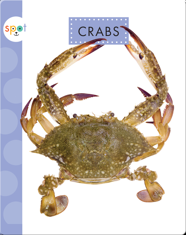 Crabs Children's Book by Mari Schuh Discover Children's Books