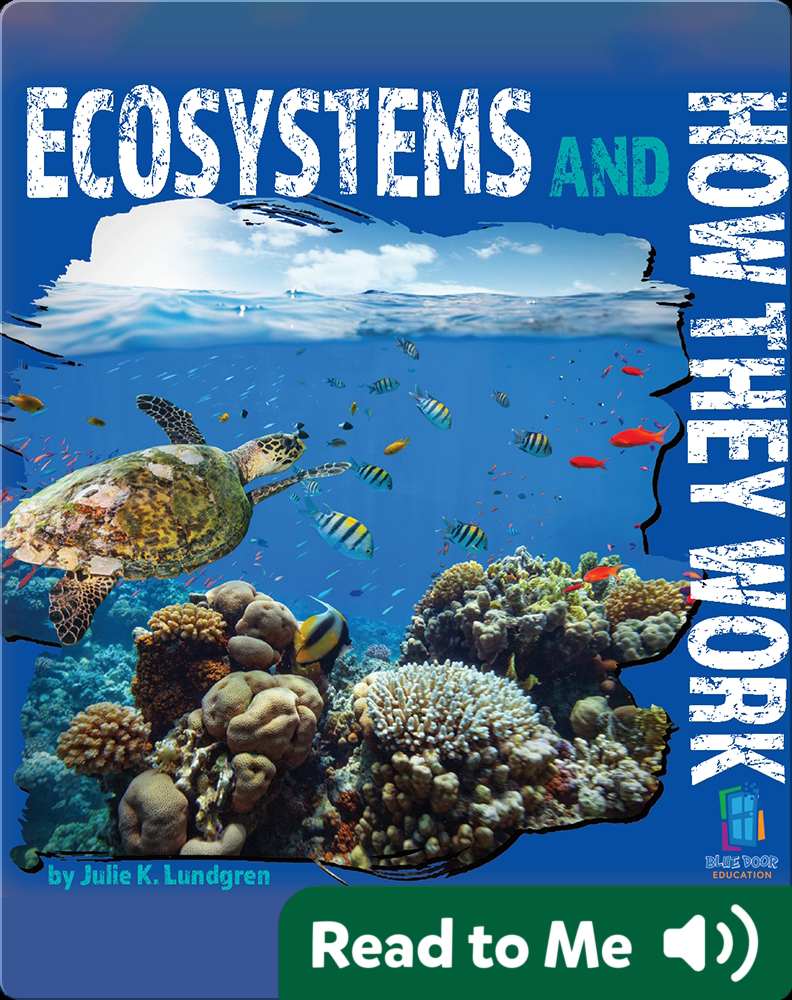 Ecosystems and How They Work Children's Book by Julie K. Lundgren