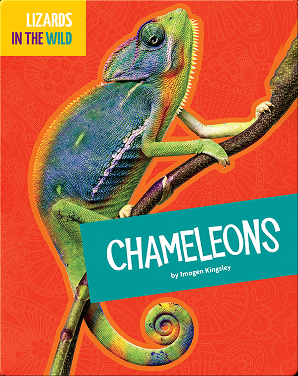 Lizards In The Wild: Chameleons
