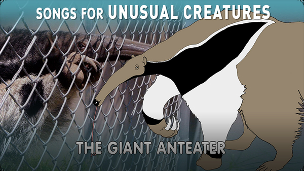 Songs for Unusual Creatures: The Giant Anteater