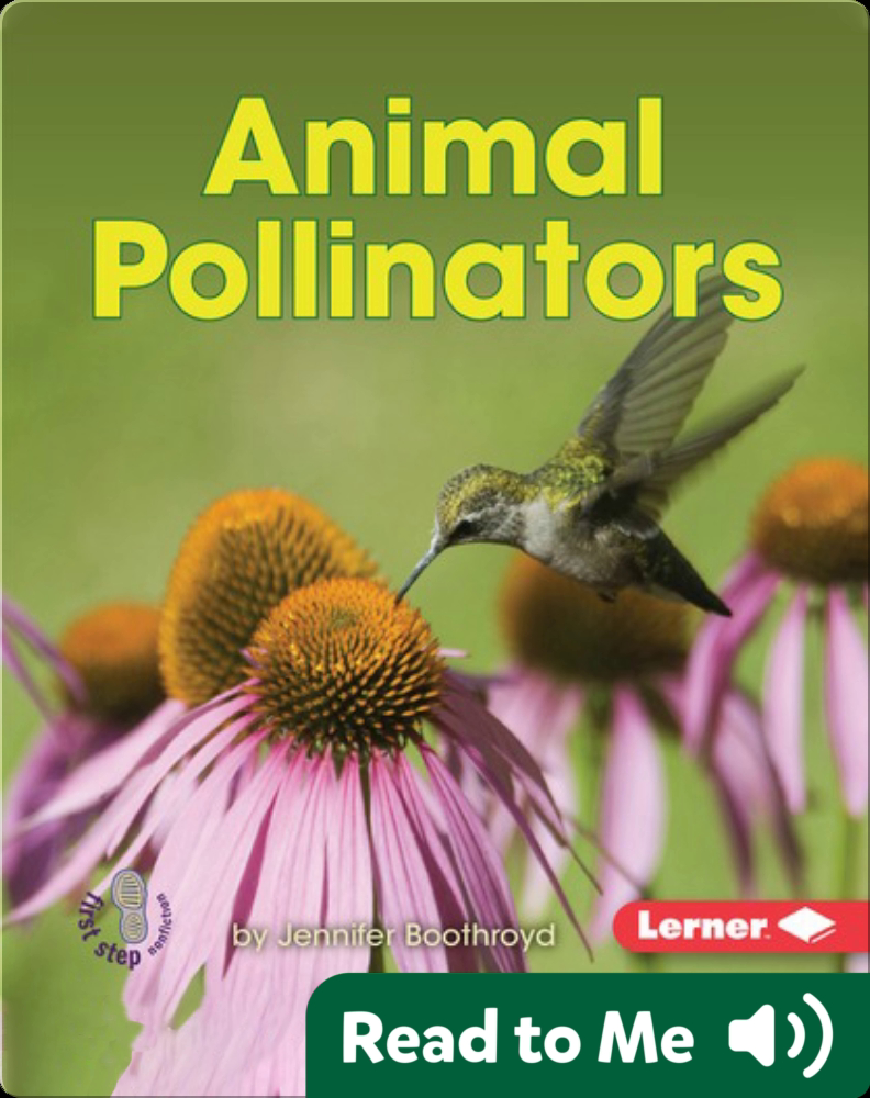 Animal Pollinators Children's Book by Jennifer Boothroyd Discover