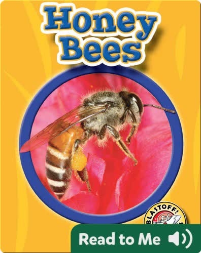 Honey Bees: World of Insects