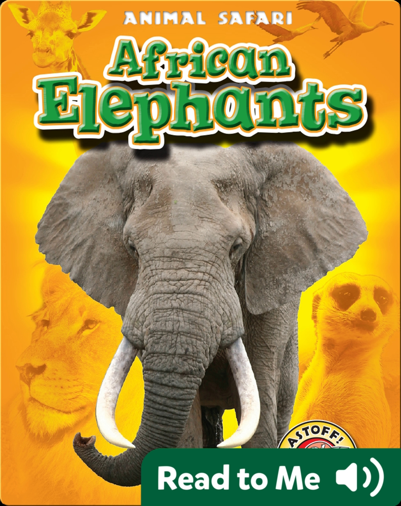 89 Top Best Writers African Elephant Book from Famous authors