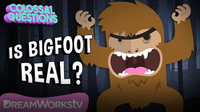 Could Bigfoot Be Real? | COLOSSAL QUESTIONS