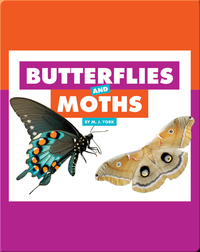 Comparing Animal Differences: Butterflies and Moths