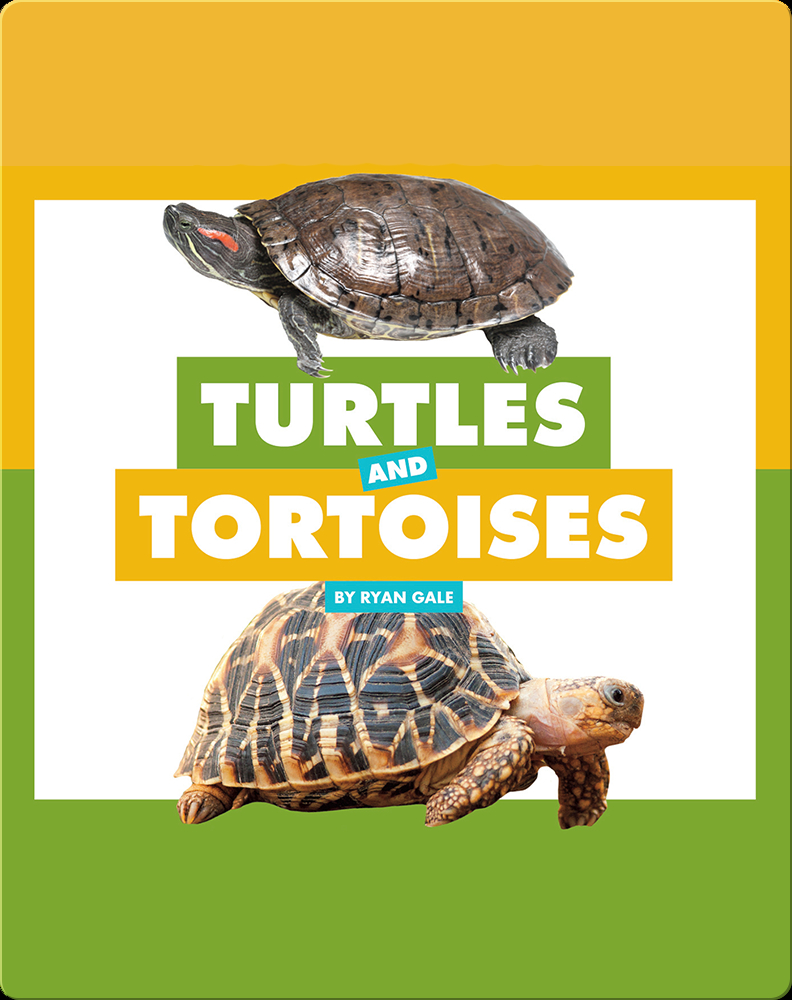 Comparing Animal Differences: Turtles and Tortoises Children's Book by ...