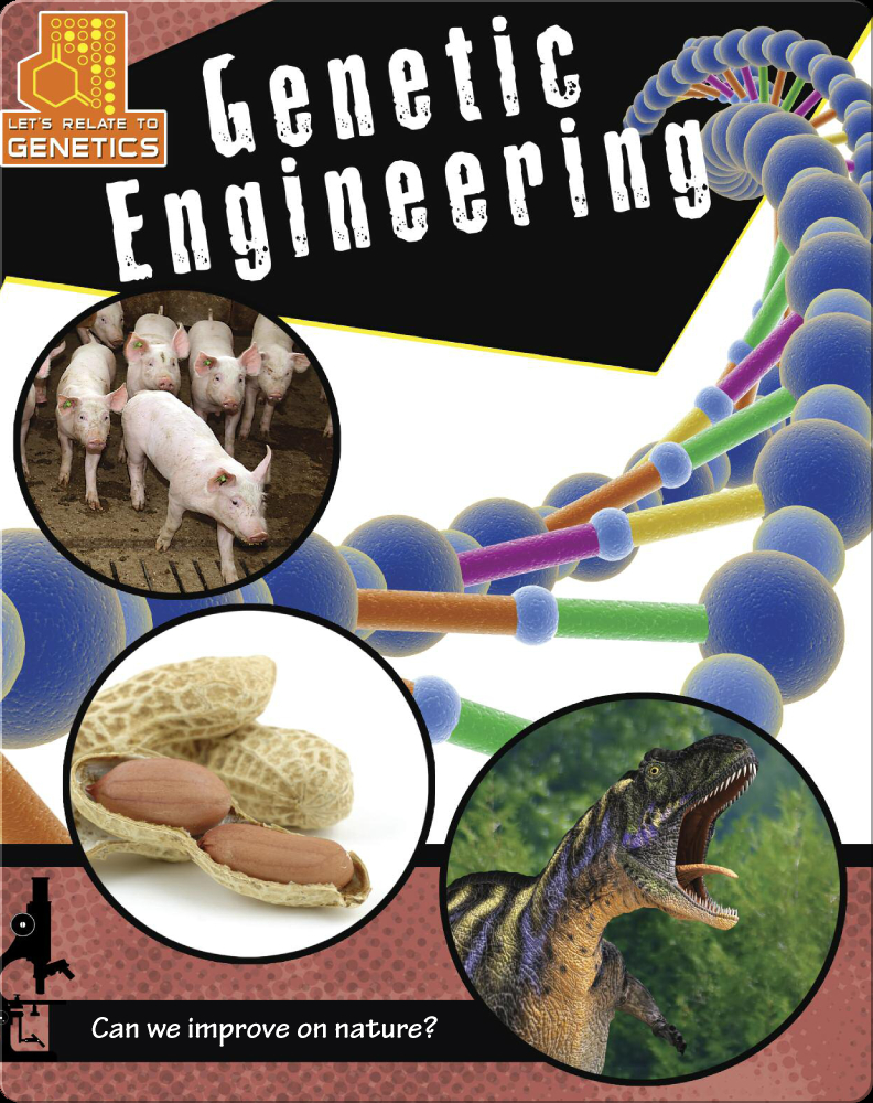Engineering Children's Book by Marina Cohen Discover Children