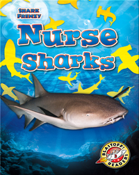 Shark Frenzy: Nurse Sharks