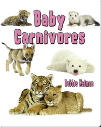 Baby Carnivores