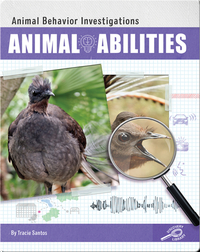 Animal Behavior Investigations: Animal Abilities