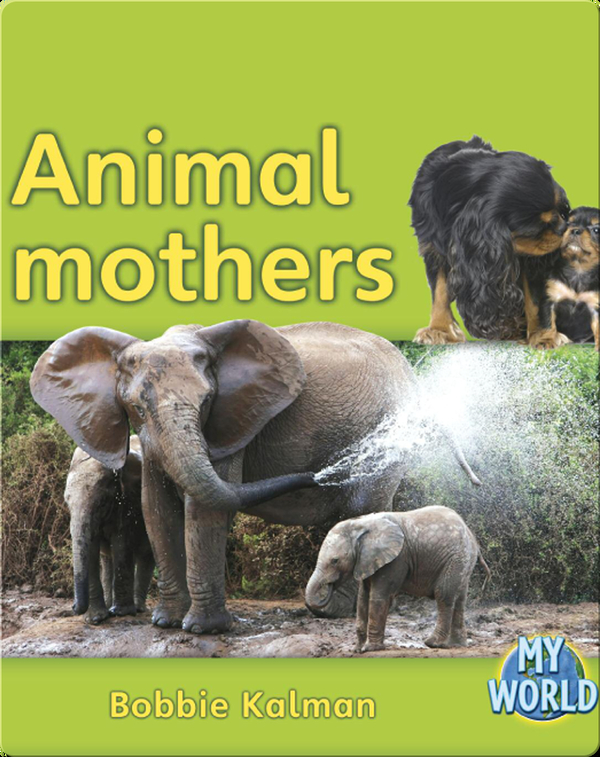 Animal Mothers Children's Book by Bobbie Kalman Discover Children's