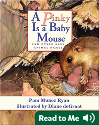 A Pinky is a Baby Mouse and Other Baby Animal Names