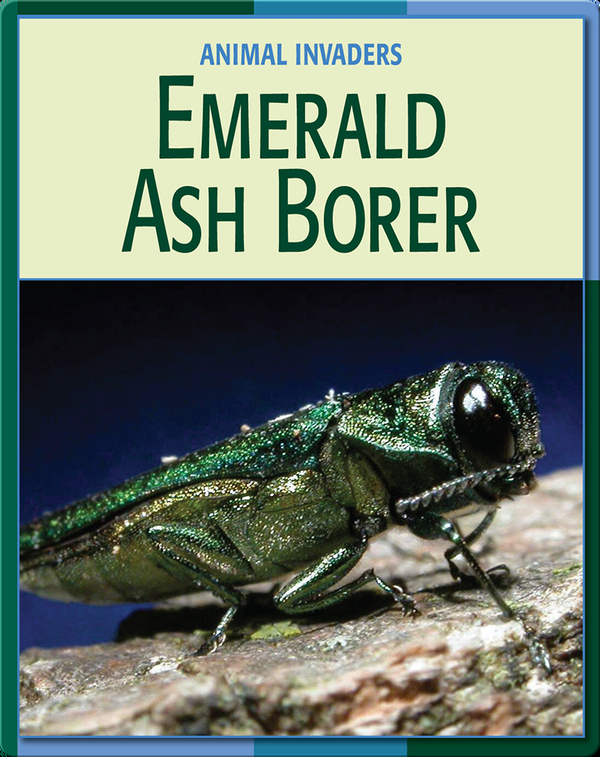 Animal Invaders: Emerald Ash Borer