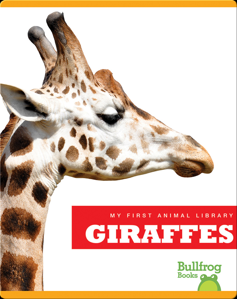 My First Animal Library Giraffes Children's Book by Rebecca Stromstad