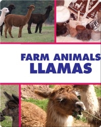 Farm Animals: Llamas