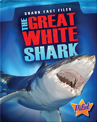 Shark Fact Files: The Great White Shark