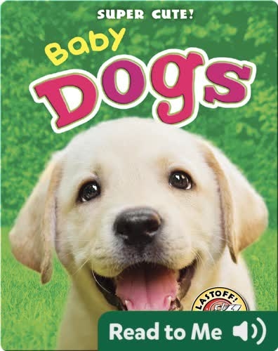 Super Cute! Baby Dogs Children's Book by Kari Schuetz | Discover ...