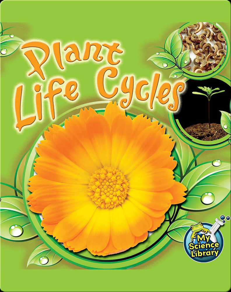Plant Life Cycles Children's Book by Julie Lundgren Discover Children