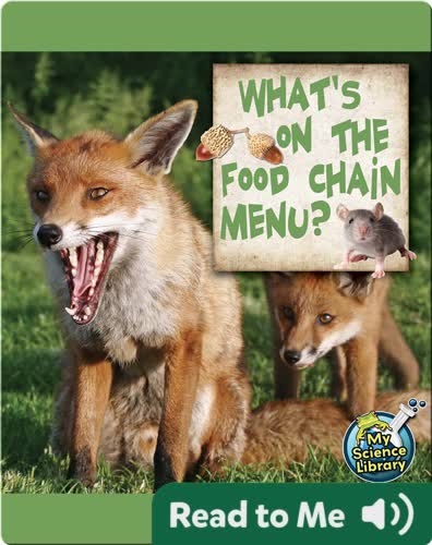 What's On The Food Chain Menu?