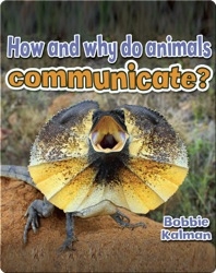 How and why do animals communicate?