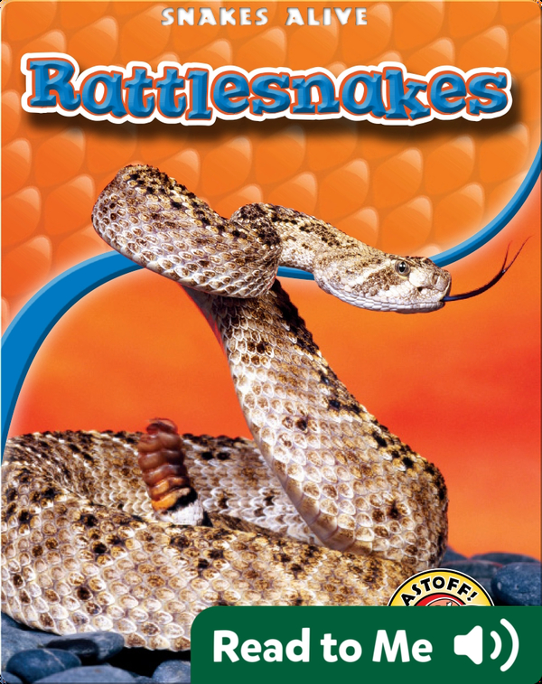 Rattlesnakes Children's Book by Colleen Sexton Discover Children's