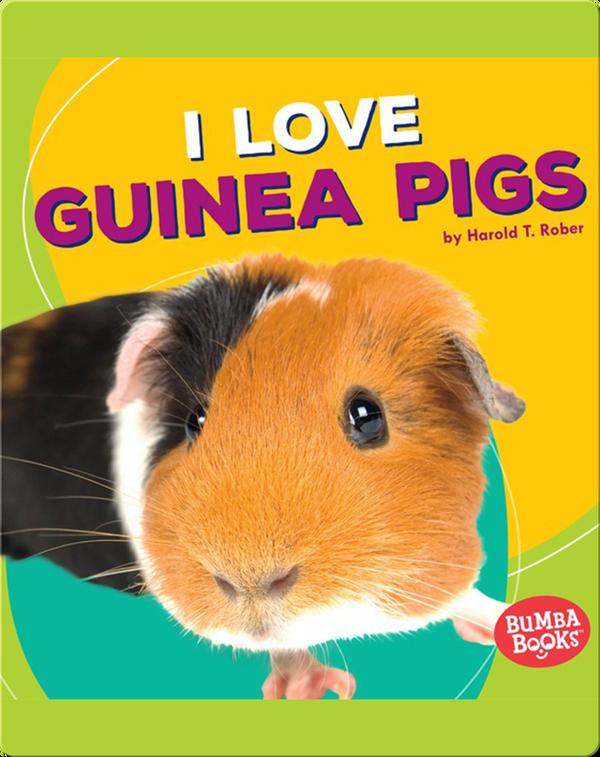 I Love Guinea Pigs Children's Book by Harold Rober Discover Children