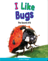 I Like Bugs: The Sound of B