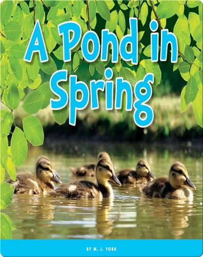 A Pond in Spring
