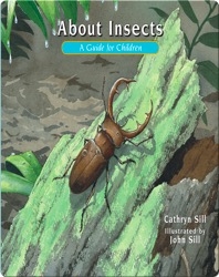 About Insects