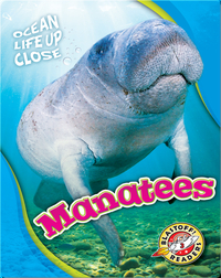 Ocean Life Up Close: Manatees