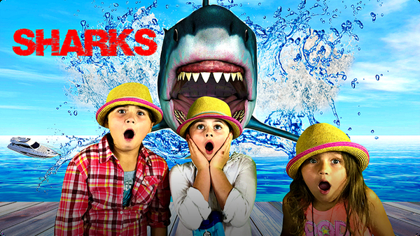 When Sharks Attack The Great White Shark All About Sharks For Kids Video Discover Fun And Educational Videos That Kids Love Epic Children S Books Audiobooks Videos More