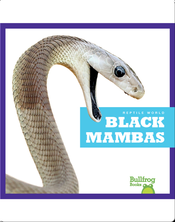 Reptile World: Black Mambas