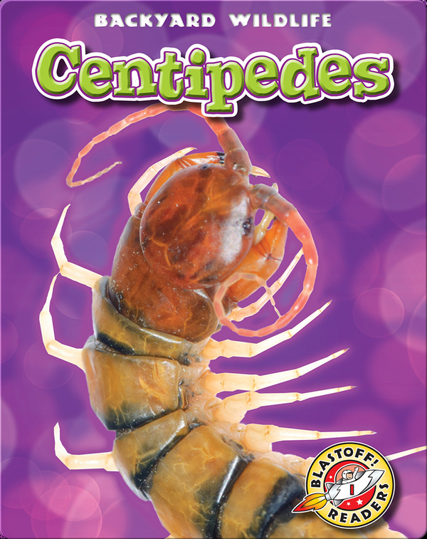 Backyard Wildlife: Centipedes