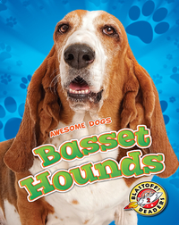 Awesome Dogs: Basset Hounds