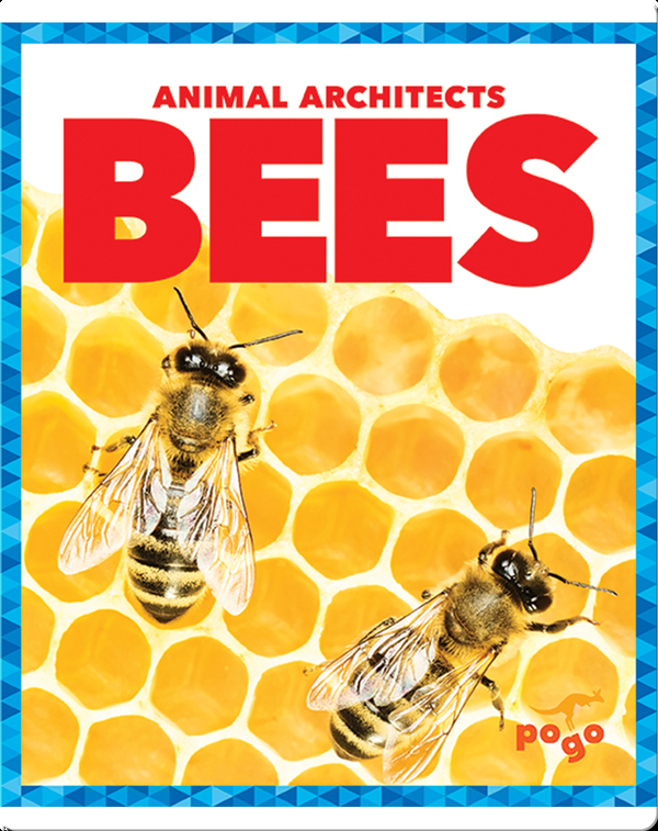 Bees Children's Book by Karen Latchana Kenney Discover Children's