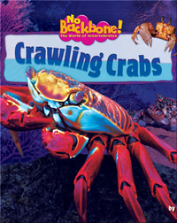 Crawling Crabs